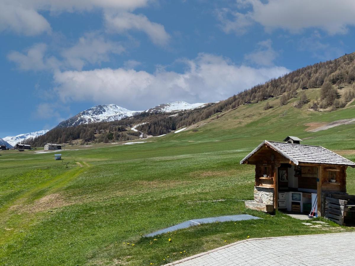 Appartamento Mountain Milly *