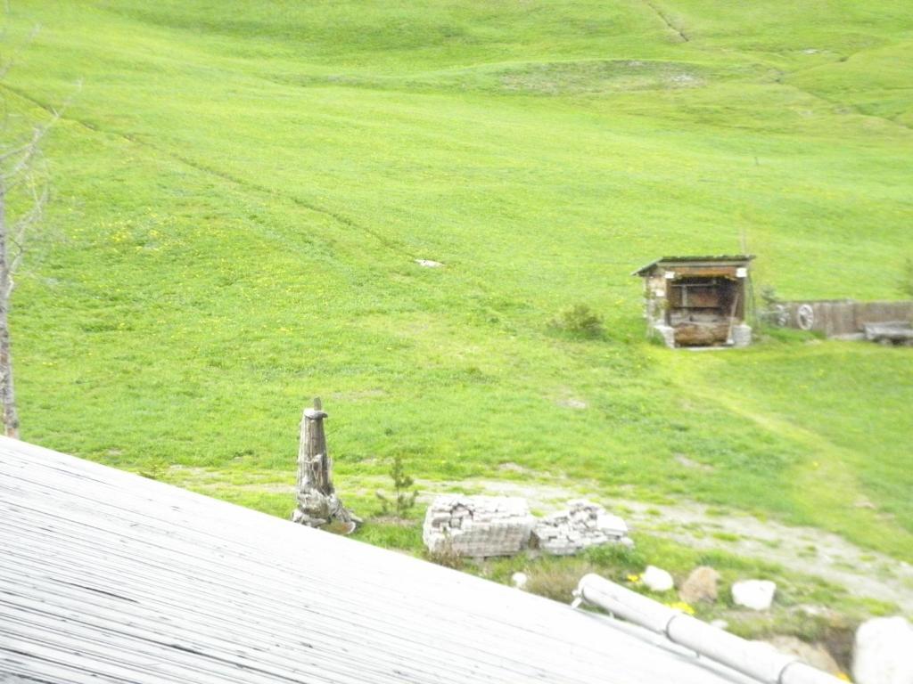 Appartamento Mountain Milly *